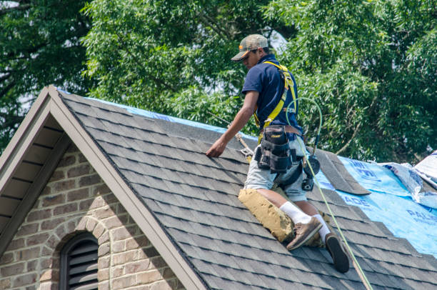 Best Gutter Installation and Roofing  in Los Angeles, CA